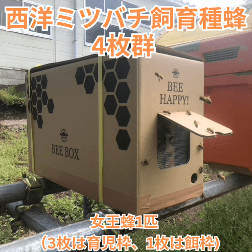 12209-34971.png 12209-34971.png